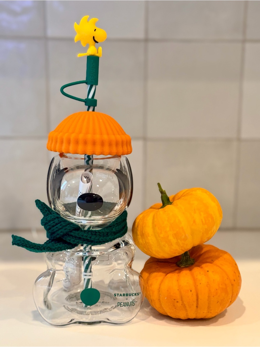 Starbucks x Peanuts Snoopy Glass Cup ✨🥜
